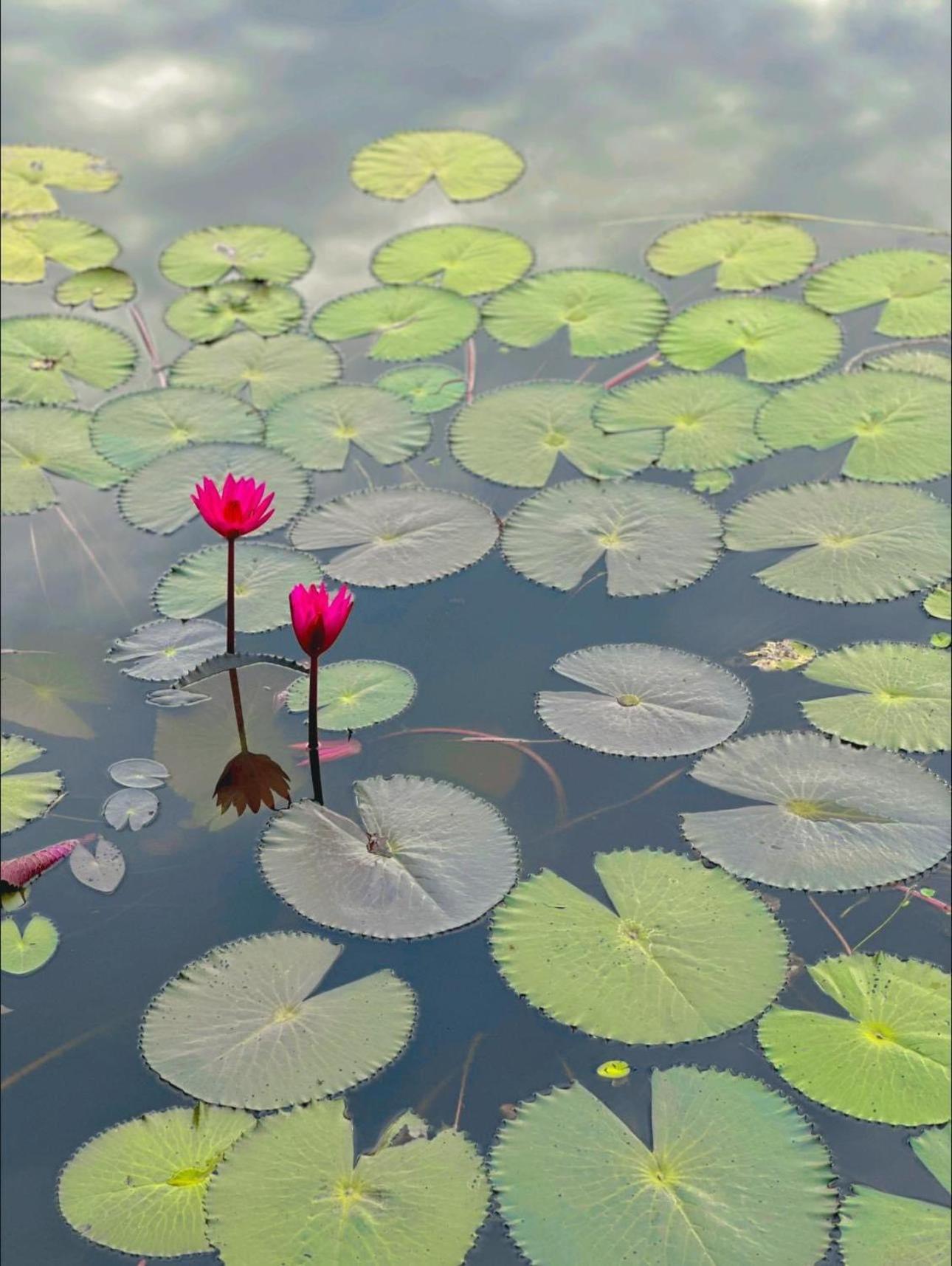Halise Home And Retreat Ninh Binh Exteriér fotografie