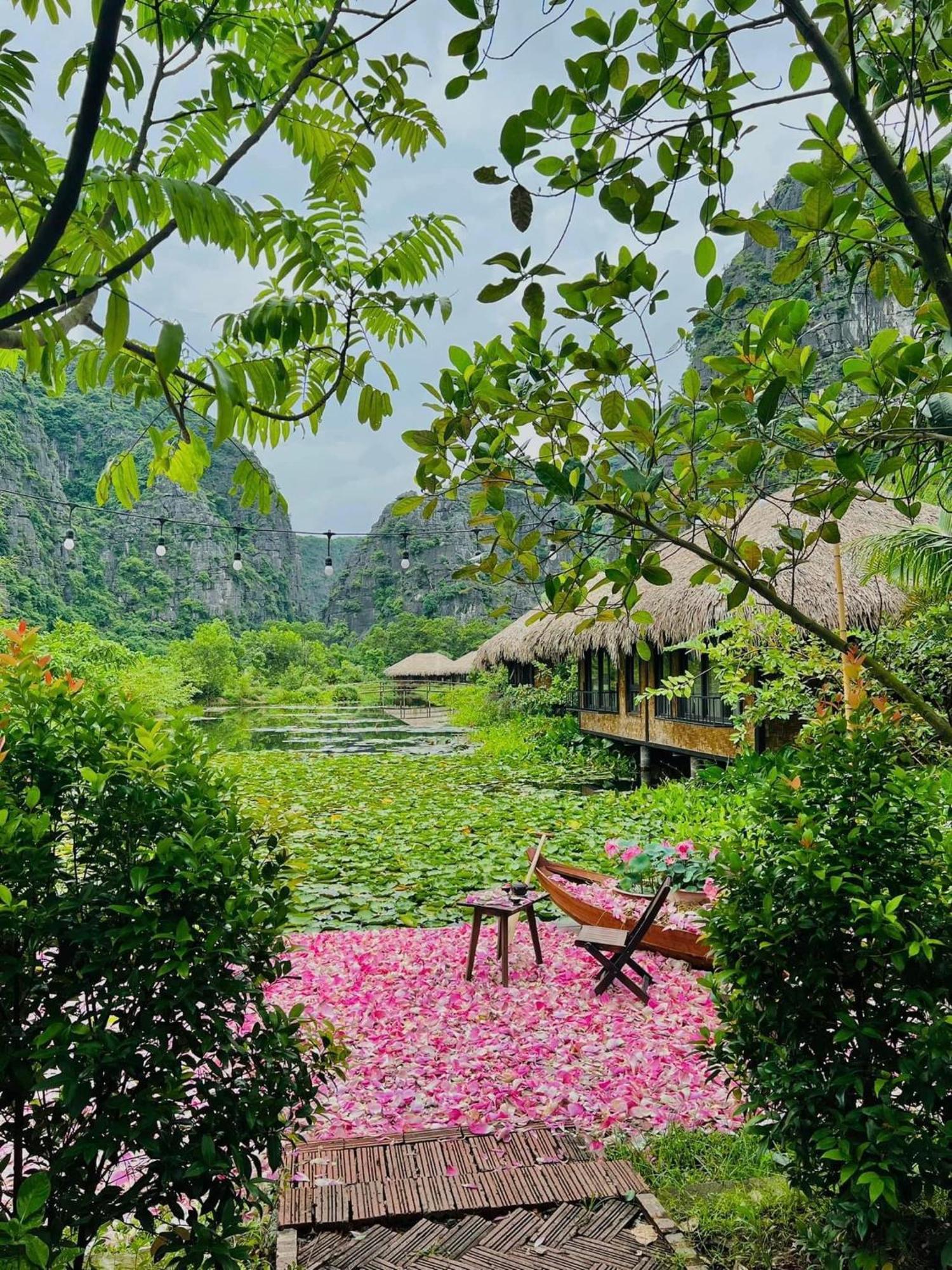 Halise Home And Retreat Ninh Binh Exteriér fotografie