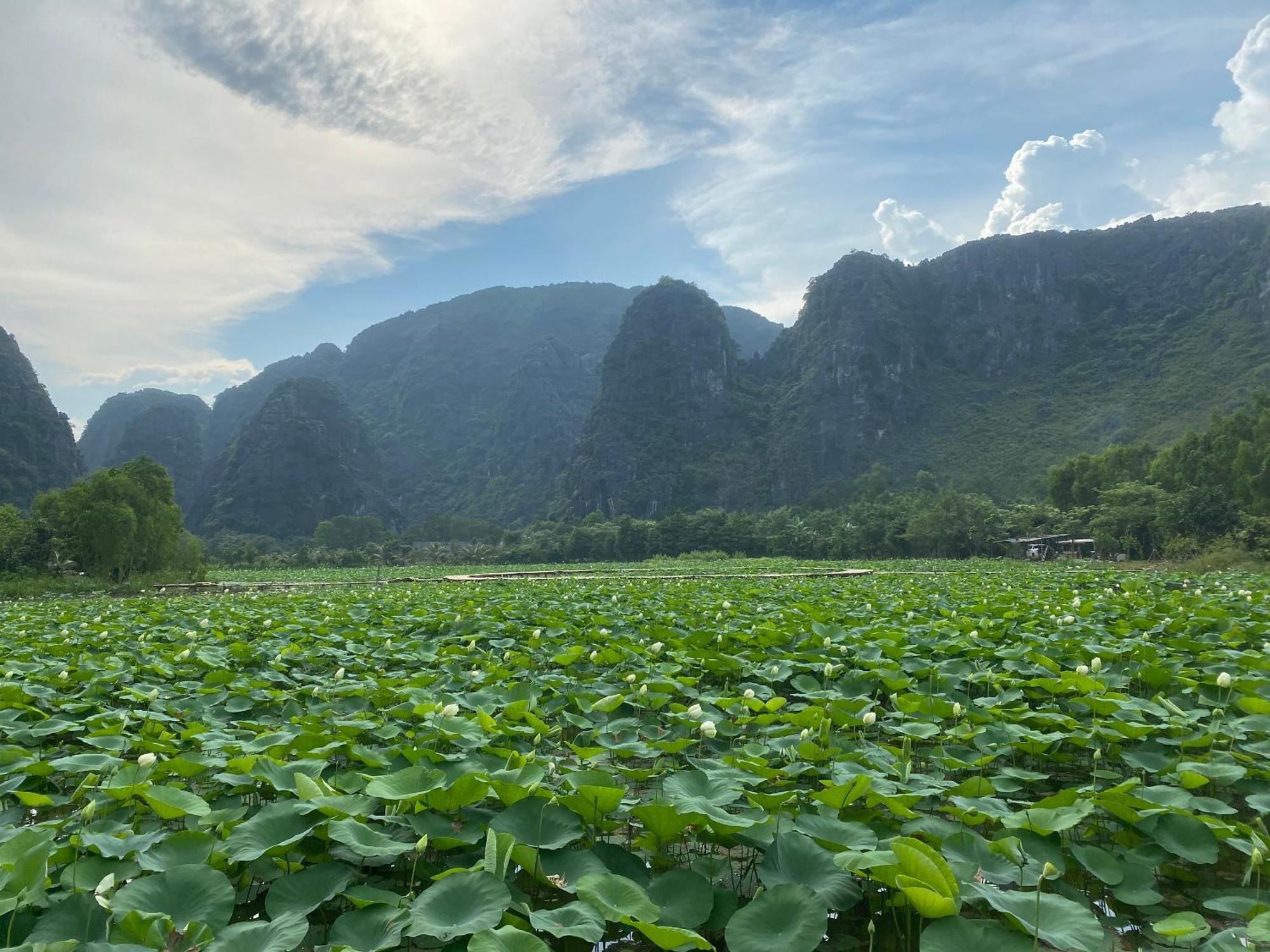 Halise Home And Retreat Ninh Binh Exteriér fotografie